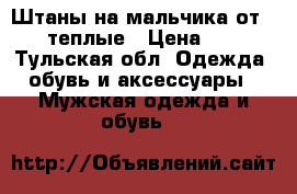 Штаны на мальчика от 12   теплые › Цена ­ 600 - Тульская обл. Одежда, обувь и аксессуары » Мужская одежда и обувь   